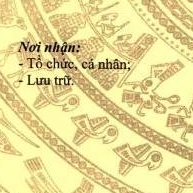 Nutricost TUDCA - Lựa Chọn Tối Ưu Cho Chức Năng Gan Thận