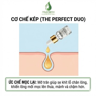 Serum mỡ trăn Ngân Bình 10ml - Ức chế mọc lông, dưỡng ẩm dịu da sau wax