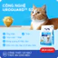Hạt Cho Mèo MRVET E2 Combo 5 Gói 1KG Chăm Sóc Tiết Niệu Đa Chiều, 80% Đạm Động Vật Cao Cấp