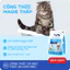 Hạt Cho Mèo MRVET E2 Combo 5 Gói 1KG Chăm Sóc Tiết Niệu Đa Chiều, 80% Đạm Động Vật Cao Cấp