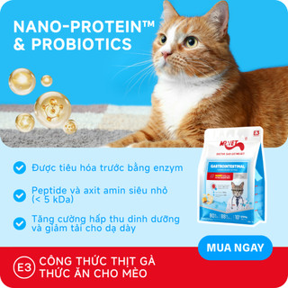 [MỚI] Hạt Cho Mèo MRVET E3 Combo 10 Gói 1KG Công Thức Protein Siêu Mịn, Chăm Sóc Hệ Tiêu Hóa Nhạy Cảm