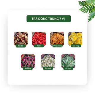 [Mua 1 tặng 1] Trà Đông Trùng 7 Vị Thảo Mộc Đẹp Da, Thanh Mát, Cân Bằng Nội Tiết - Tiệm Trà Việt