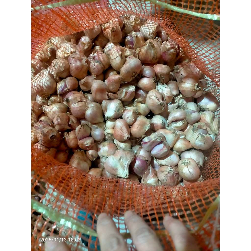 hành khô kinh môn hải dương hàng loại 1 cắt gọn gàng trọng lượng 1Kg