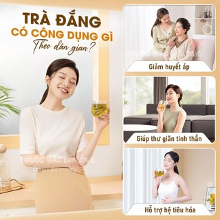 Chè đắng Cao Bằng 100g, trà đắng, cuộn lá đẹp, nguyên lá, không vụn, không lẫn tạp chất