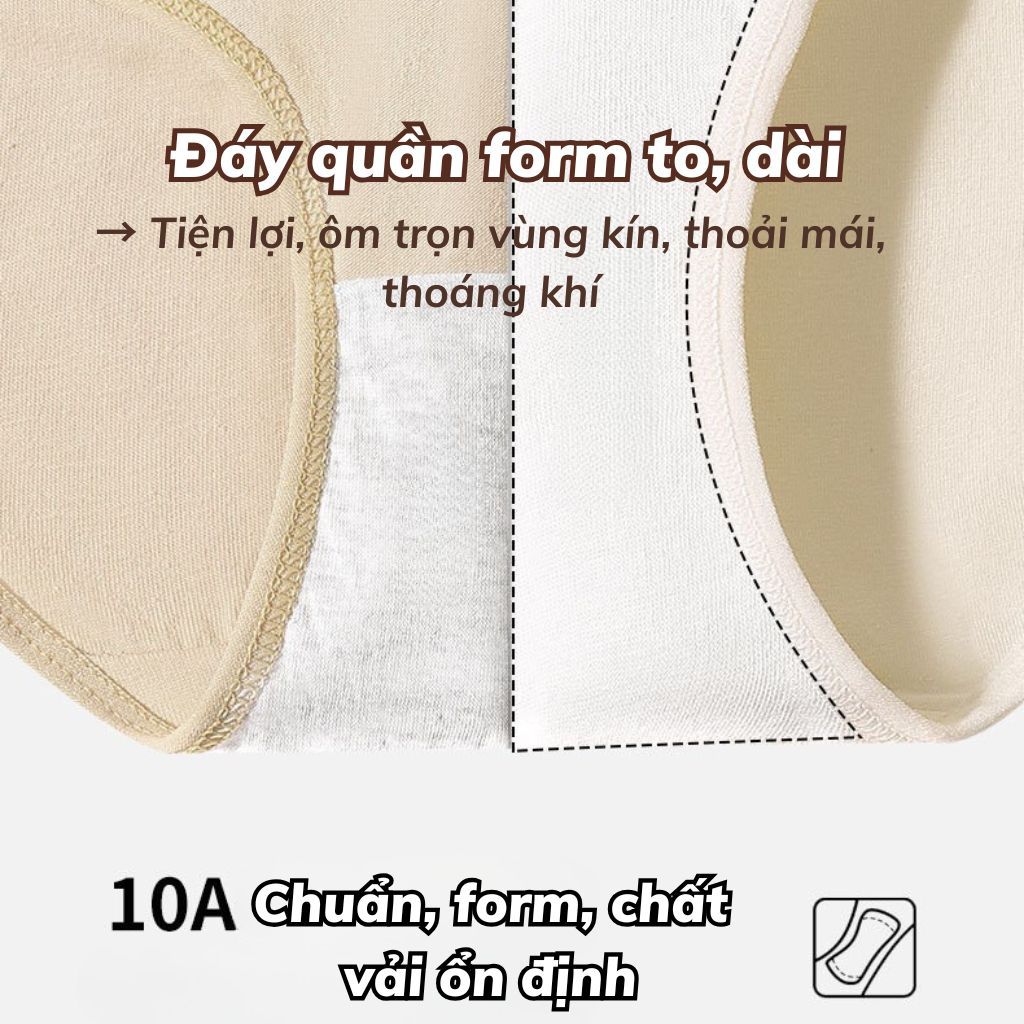 Quần lót cotton cao cấp sang trọng cạp vừa tôn dáng viền ren gợi cảm sexy xinh xắn cute LANIXA L5310