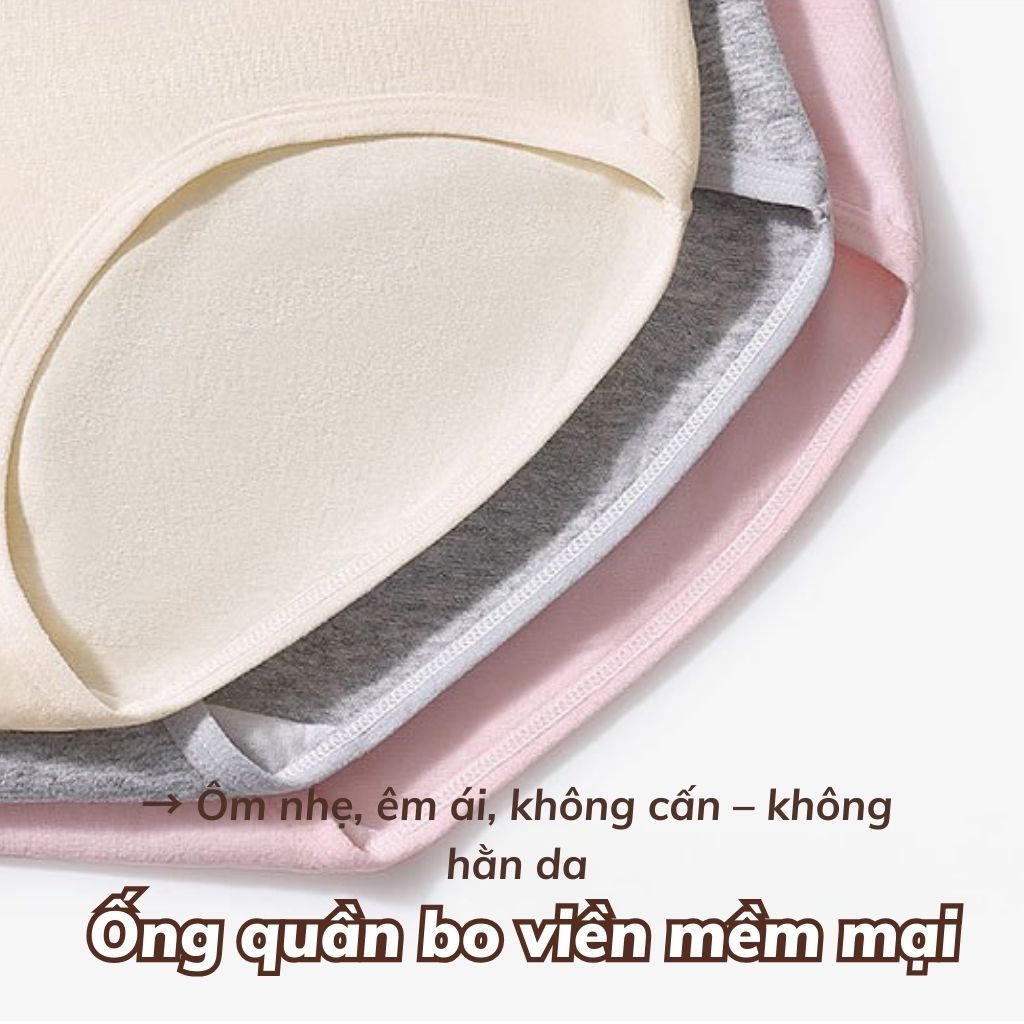 Quần lót cotton cao cấp sang trọng cạp vừa tôn dáng viền ren gợi cảm sexy xinh xắn cute LANIXA L5310