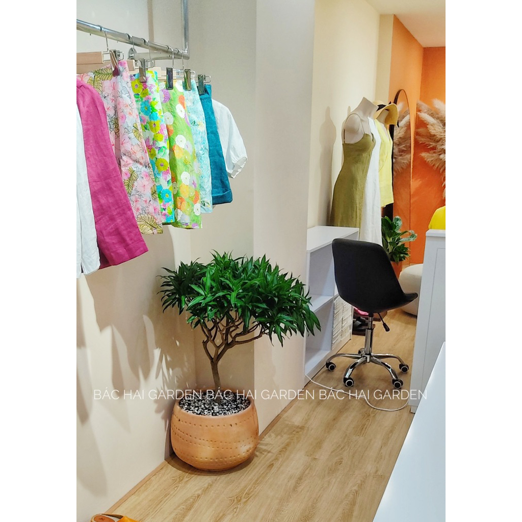 Chậu nồi size lớn bộ 2 đất nung Vintage D25H25 & D35H30- Chậu đẹp giá rẻ tại HCM