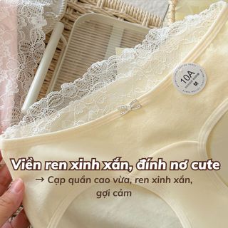 Quần lót cotton cao cấp viền ren sang trọng xinh xắn đáy lót 2 lớp kháng khuẩn khử mùi DEVARI L5310