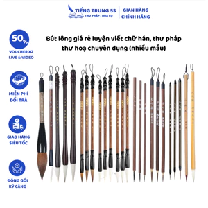 Bút lông giá rẻ luyện viết chữ hán, thư pháp, thư hoạ chuyên dụng (nhiều mẫu)