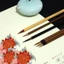 Bút lông giá rẻ luyện viết chữ hán, thư pháp, thư hoạ chuyên dụng (nhiều mẫu)