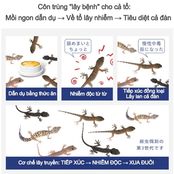 Thuốc Đuổi Thằn Lằn/Tắc Kè/Gián Chiết Xuất Thảo Dược | An Toàn Không Độc Hại | Không Mùi | Bảo Vệ Lâu Dài