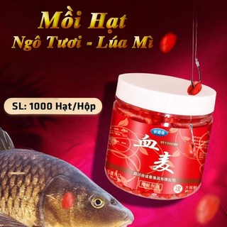 Mồi Câu Cá Huyết Mỳ Xạ Hương 1000 Hạt – Mồi Câu Cá Chép Trắm Ao Hồ Siêu Nhạy Không Cần Trộn
