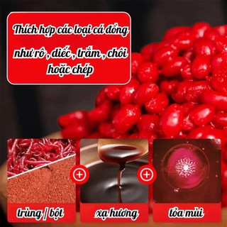 Mồi Câu Cá Huyết Mỳ Xạ Hương 1000 Hạt – Mồi Câu Cá Chép Trắm Ao Hồ Siêu Nhạy Không Cần Trộn