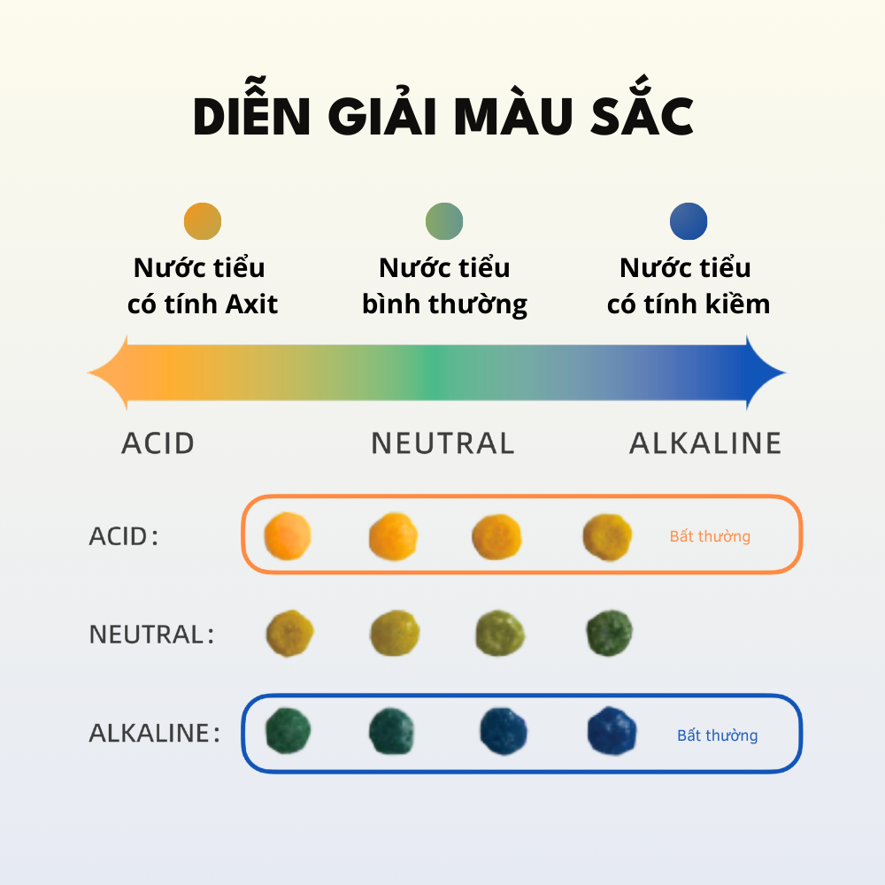 Cát vệ sinh cho mèo, cát mèo PETKIT đo pH trong nước tiểu mèo
