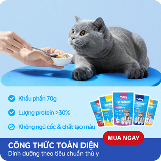 COMBO MIX 10 Pate Dinh Dưỡng MRVET Gói 70G Đủ Vị, Hỗ Trợ Tim Mạch, Tiêu Hóa, Hệ Miễn Dịch, Da Lông