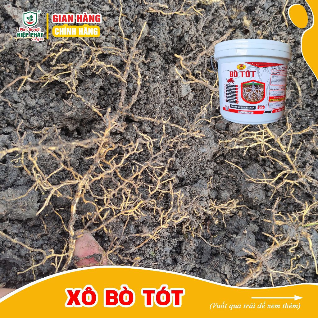 Phân bón tưới gốc [XÔ BÒ TÓT 5KG] Ra rễ cực mạnh, nở gốc, xanh lá, nuôi trái, thúc ra hoa đồng loạt