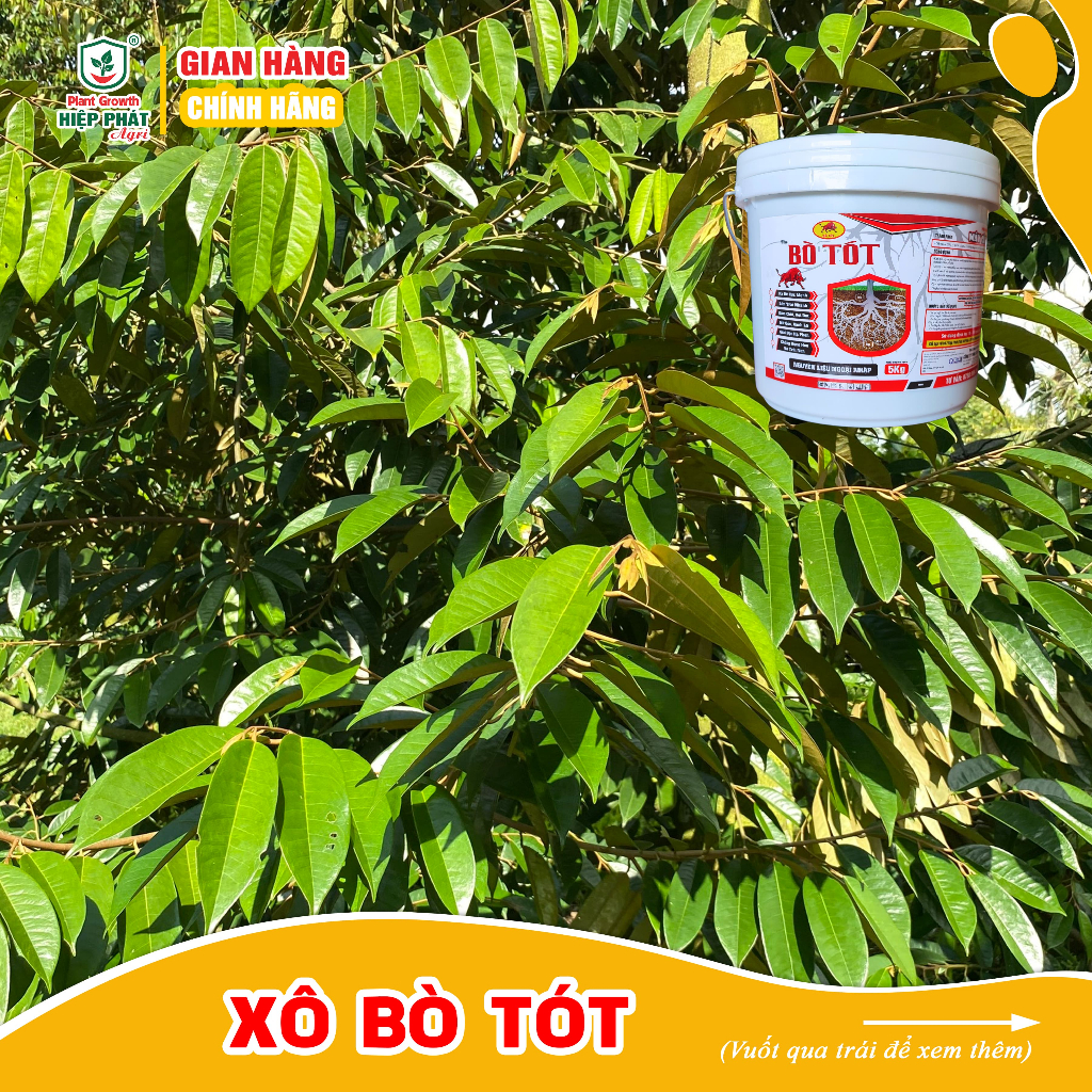 Phân bón tưới gốc [XÔ BÒ TÓT 5KG] Ra rễ cực mạnh, nở gốc, xanh lá, nuôi trái, thúc ra hoa đồng loạt