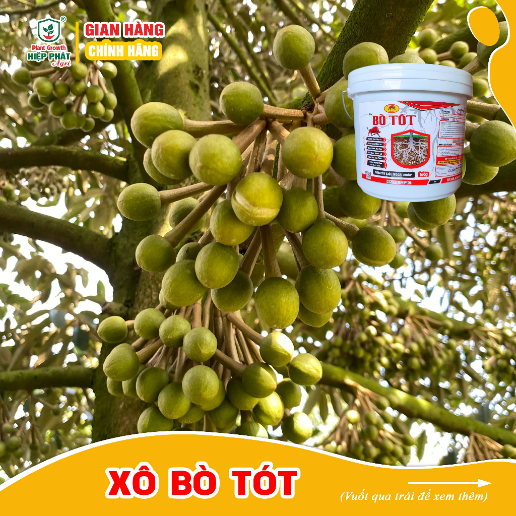 Phân bón tưới gốc [XÔ BÒ TÓT 5KG] Ra rễ cực mạnh, nở gốc, xanh lá, nuôi trái, thúc ra hoa đồng loạt