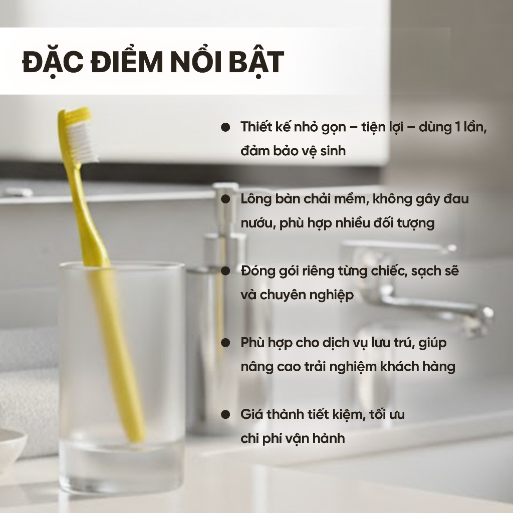 Combo 100 Bộ Bàn Chải Nhựa Đánh Răng Dùng 1 Lần Cho Khách Sạn, Homestay, Nhà Nghỉ 16x1cm