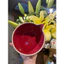 Bát Chawan thủ công có miệng rót, đế cắm chổi Chasen ( Gốm sứ cao cấp )_ Màu đỏ đậm