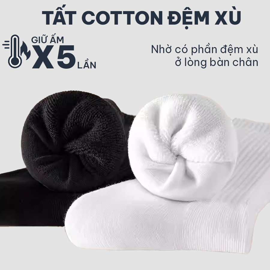 Tất cotton lót lông đệm xù mùa đông BaseLux tất cổ cao mềm mại, vớ cổ cao kháng khuẩn khử mùi, tất nam cổ cao basic