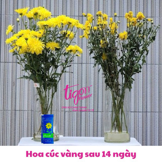 10 gói NƯỚC DƯỠNG HOA BAMBI - Hoa tươi lâu rực rỡ, giữ nước sạch hơn (1 gói 5ml) (ĐƯỢC ĐỒNG KIỂM)