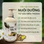 Dầu Gội MỘC AN Thành Phần Từ Thiên Nhiên Nhân Sâm + Gừng + Bồ Kết Chai 300ml