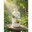 Dầu Gội MỘC AN Thành Phần Từ Thiên Nhiên Nhân Sâm + Gừng + Bồ Kết Chai 300ml