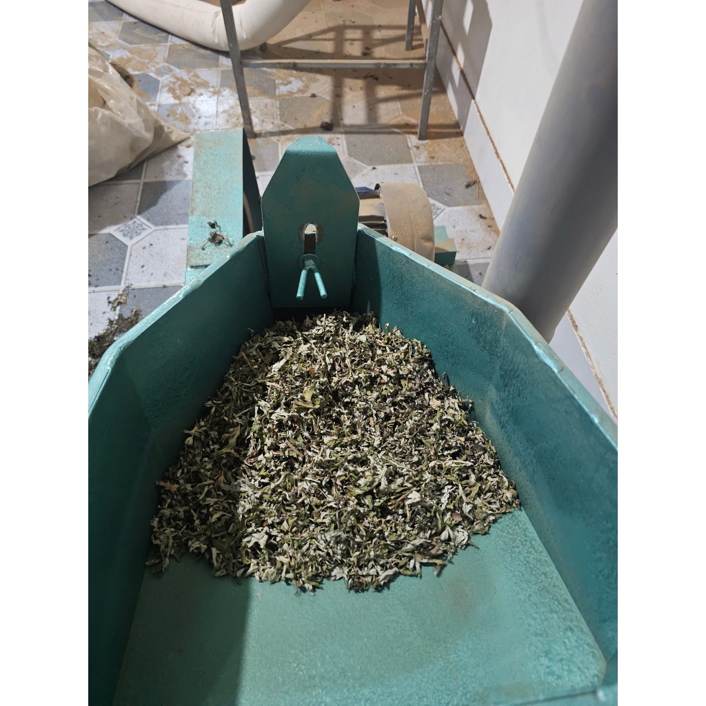 Điếu ngải cứu Gió Quê - hơ giảm đau xương khớp - đốt xông phòng đuổi muỗi, khử mùi hôi- hũ 22 điếu