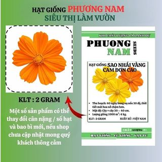 2 Gram - Hạt Giống Hoa  Sao Nhái Cánh Bướm Vàng Cam Đơn Cao Phương Nam