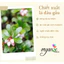 BEARBERRY EXTRACT (CHIẾT XUẤT DÂU GẤU - PHÁP)
