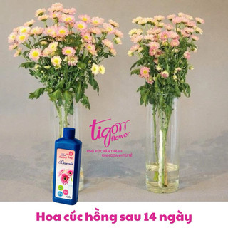 COMBO 3 CHAI NƯỚC DƯỠNG HOA BAMBI 450ML - Giúp hoa tươi lâu và rực rỡ, giữ nước sạch hơn (ĐƯỢC ĐỒNG KIỂM)