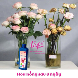 COMBO 5 CHAI NƯỚC DƯỠNG HOA BAMBI 450ML - Giúp hoa tươi lâu và rực rỡ, giữ nước sạch hơn