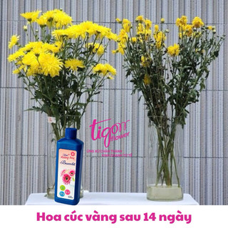 CHAI 450ML NƯỚC DƯỠNG HOA BAMBI - Giúp hoa tươi lâu và rực rỡ, giữ nước sạch hơn (ĐƯỢC ĐỒNG KIỂM)
