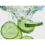 CUCUMBER FRUIT EXTRACT (CHIẾT XUẤT DƯA LEO - PHÁP)