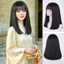 Tóc giả diện Tết chụp ảnh áo dài, đi lễ chùa duỗi/ ép thẳng dài 40-45cm ngang vai hottrend cực tiện dụng