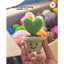 Chậu tim lùn handmade quà tặng tình yêu quà tặng lễ