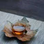 WITCH HAZEL EXTRACT (CHIẾT XUẤT CÂY PHỈ - HOA KỲ)