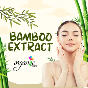 BAMBOO EXTRACT (CHIẾT XUẤT TRE - PHÁP)