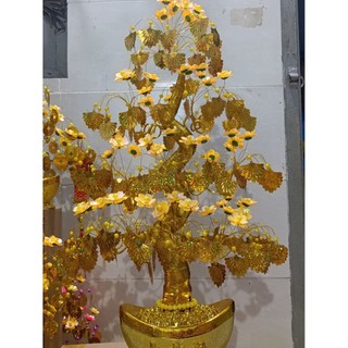 cây kim tiền 60cm lá quạt chiêu tài lộc tiền vô như nước đẹp xinh lung linh đem lại mai mắn giàu có.