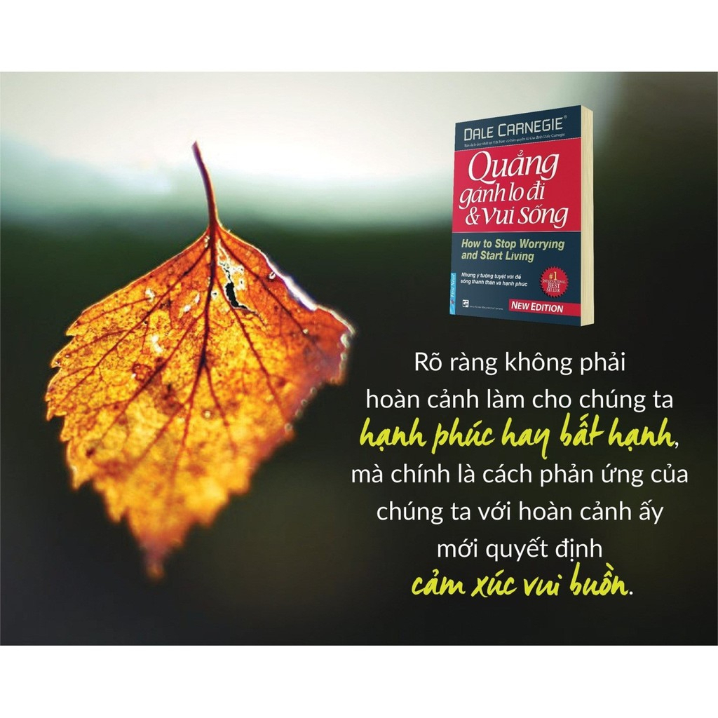 Sách - Quẳng Gánh Lo Đi & Vui Sống (Bìa Mềm) -  Dale Carnegie