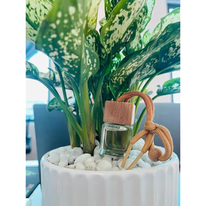 Vượng Khí Đàn Hương Ngọc Lan - Tinh dầu treo xe, tủ quần áo, dùng thay nước hoa