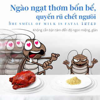 Bột diệt gián sinh học – diệt tận gốc, ít mùi – dùng trong nhà