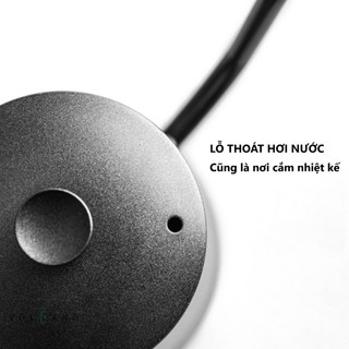 Volcano Ấm bình rót nước nóng pha cà phê bằng inox, cán gỗ Cafede Kona, ấm rót nước cổ ngỗng