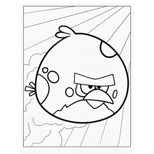 20 Tranh tô màu Angry Birds (Mực và giấy chính hãng - an toàn cho bé)