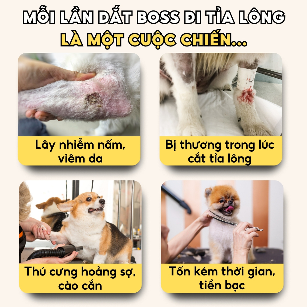 Tông Đơ Cắt Tỉa Cạo Lông Chó Mèo Không Dây Kizu739, Máy Cạo Lông Thú tặng Máy Tỉa Lông Kẽ Bàn Chân