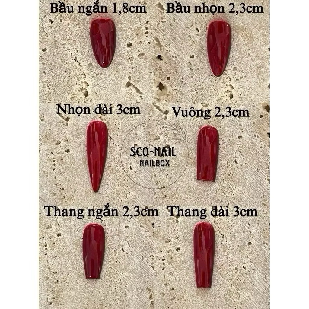 ( hoả tốc) NAIL BOX NGẮN CHẤM BI HOA NẶN BASIC