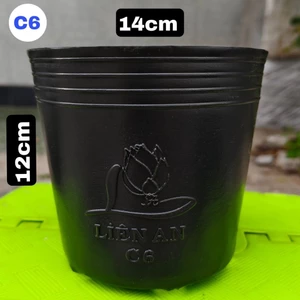 Chậu nhựa C6 Liên An ( 14×12 ) chất liệu nhựa HPDE chậu nhựa cao cấp hàng xuất khẩu