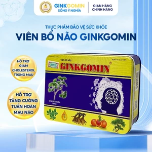 Viên Uống Bổ Não Ginkgomin Hỗ Trợ Tăng Cường Tuần Hoàn Máu Não Và Cải Thiện Trí Nhớ, Tập Trung G03
