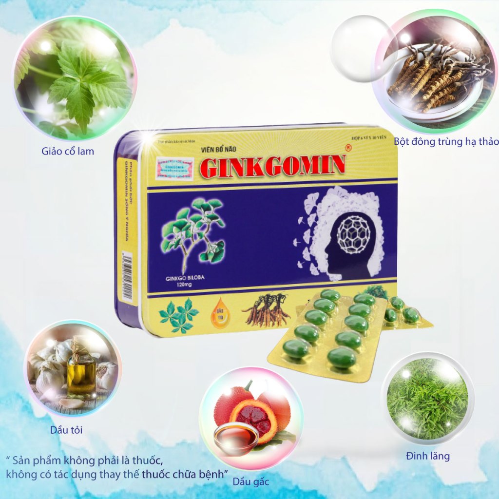 Hộp 60 Viên Bổ Não Ginkgomin Hỗ Trợ Tăng Cường Tuần Hoàn Máu G03